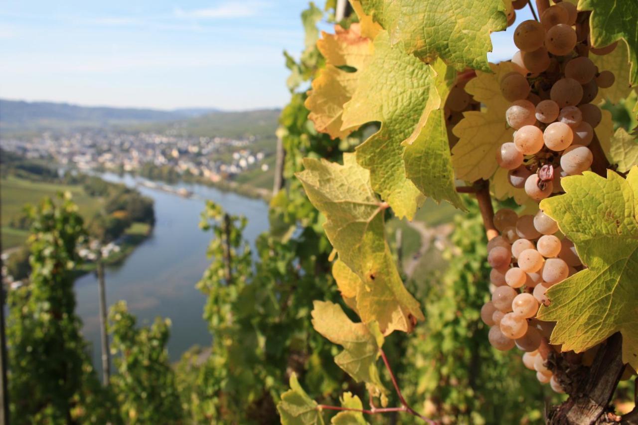 Weingut Markus Junglen Kröv Exteriér fotografie
